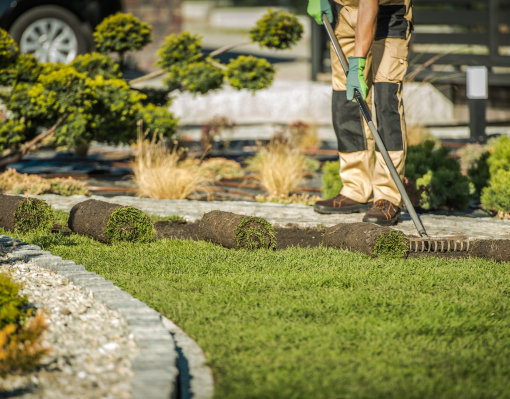 Landscaper raking and laying sod rolls along a stone edged garden border with trimmed topiaries in the background.