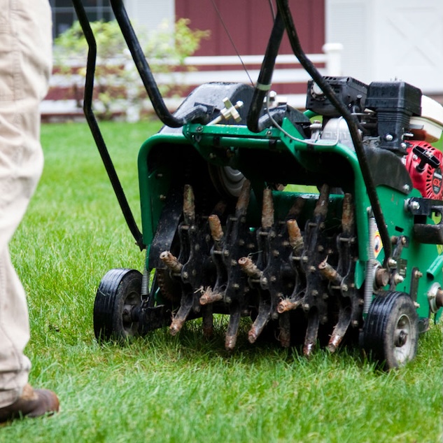 Landscape professional aerating a lawn.