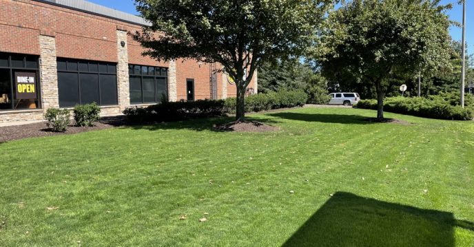 Commercial lawn maintenance at a restaurant property with mowed turf, mulched tree rings, and trimmed shrub beds alongside a brick building.