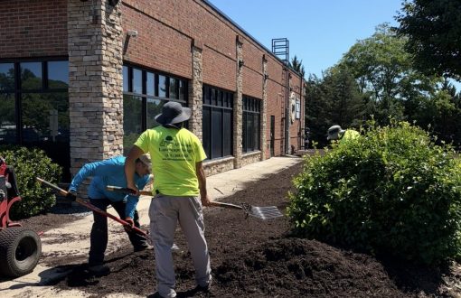 All Scapes landscaping crew installing fresh mulch at a commercial brick building entrance on Long Island.