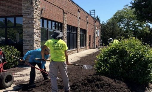 All Scapes landscaping crew installing fresh mulch at a commercial brick building entrance on Long Island.
