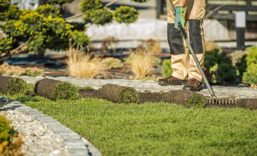 Landscaper raking and laying sod rolls along a stone edged garden border with trimmed topiaries in the background.