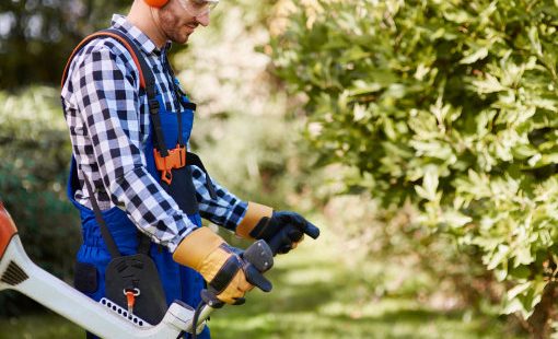 Landscaper in safety gear trimming a shrub with a hedge trimmer wearing ear protection, safety glasses, and work gloves.