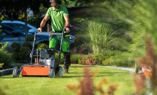 Landscaper with Scarifier Machine Taking Care of a Lawn.