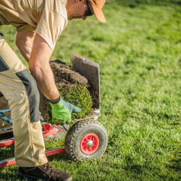 Lawn care technician operating a core aerator and collecting plugs from a green turf lawn.