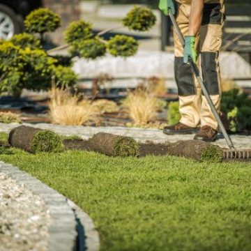 Landscaper raking and laying sod rolls along a stone edged garden border with trimmed topiaries in the background.